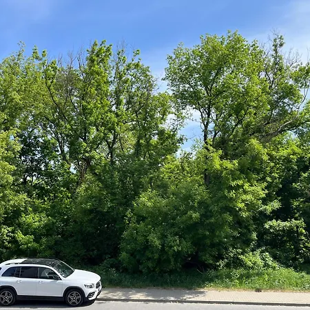 Golden Rose Metro & Park Daire *