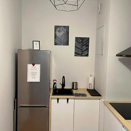 Golden Rose Metro & Park Appartement